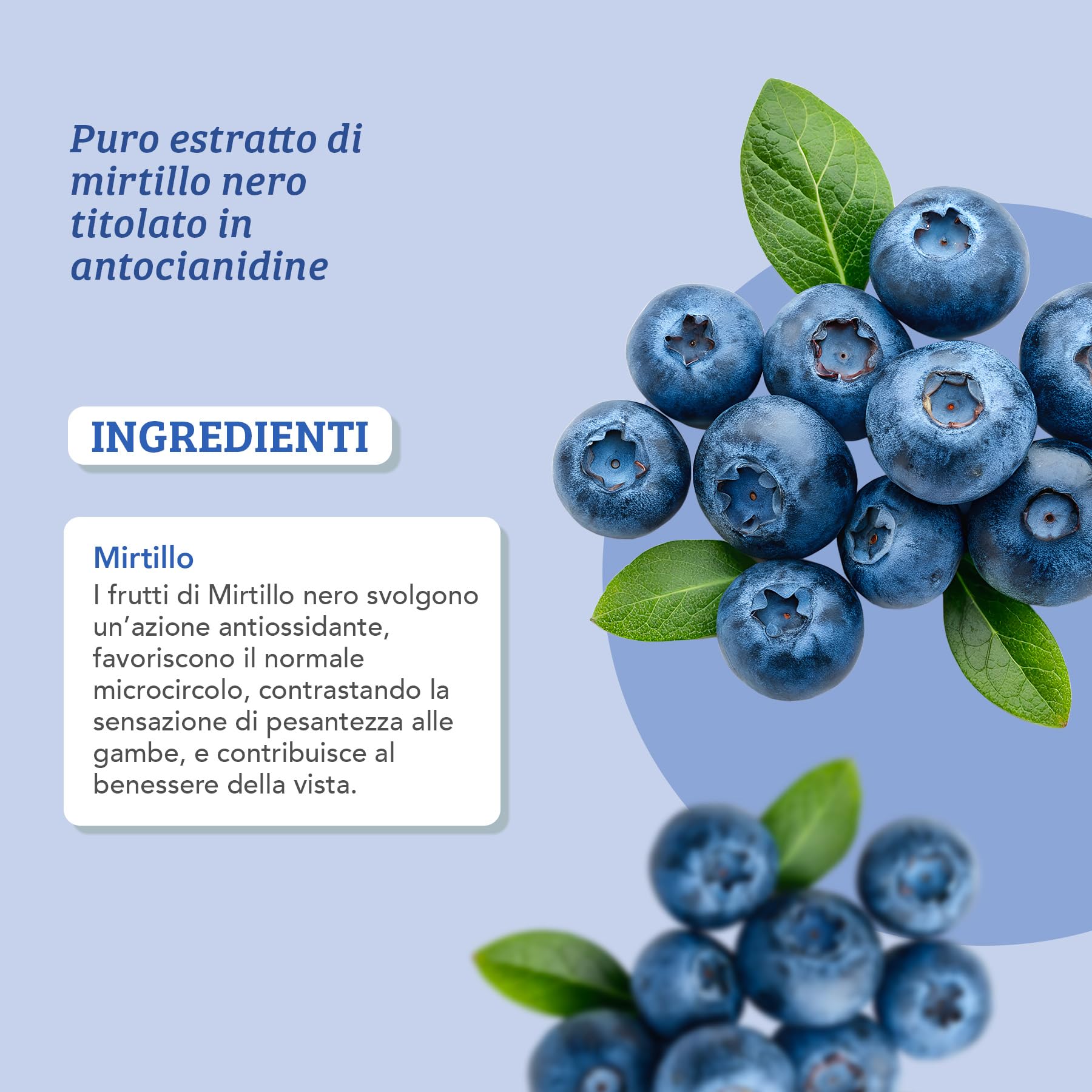Colours of Life Mirtillo Puro - Integratore Mirtillo nero per il benessere della vista - Microcircolo e capacità visiva - Senza Glutine e Vegano, 60 capsule vegetali