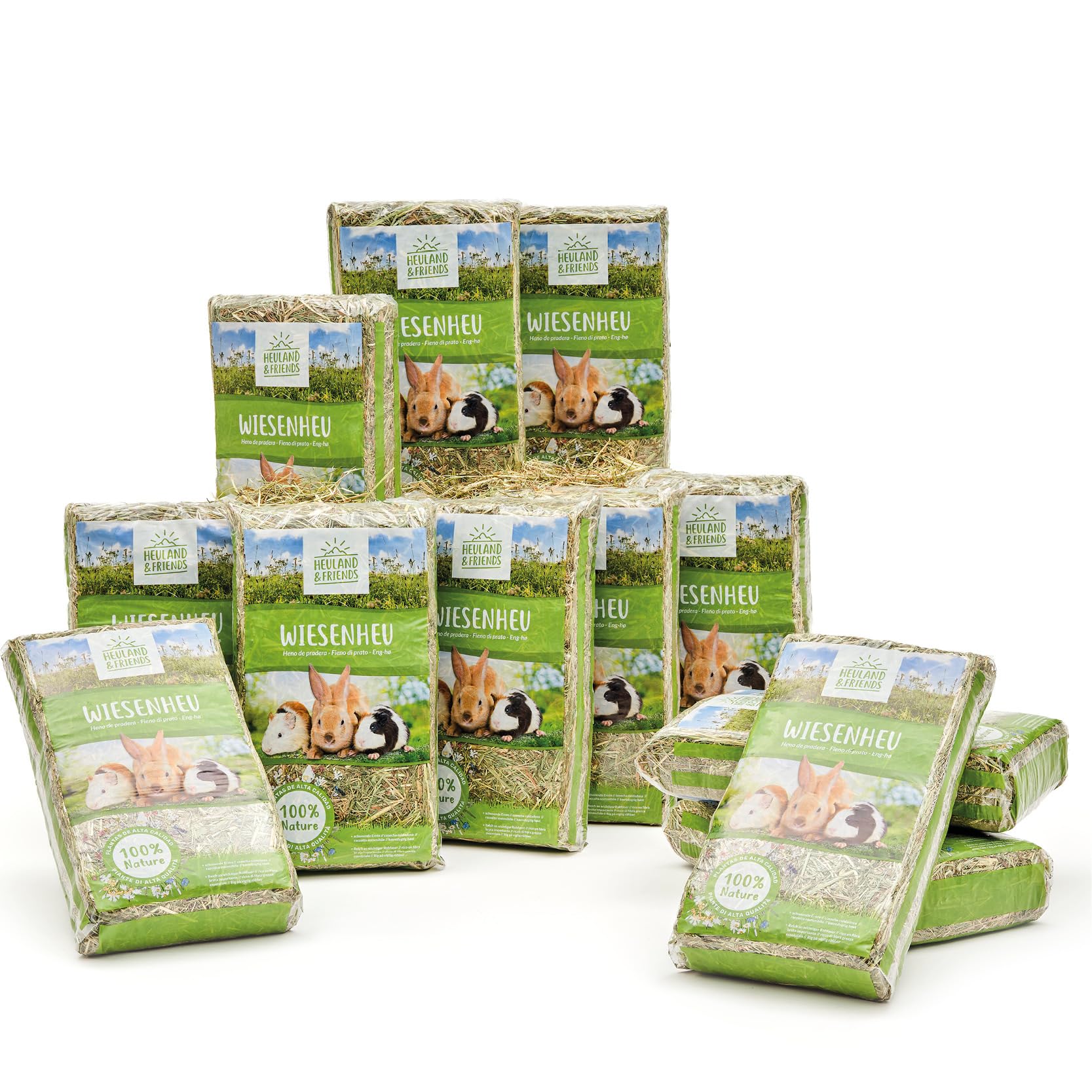 Heuland Wiesenheu 12x 1kg – für Kaninchen, Meerschweinchen & Hasen – naturbelassenes Premium-Heu aus artenreicher Wiese – sonnengetrocknet – hoher Rohfaseranteil – für Verdauung & Zahnabrieb