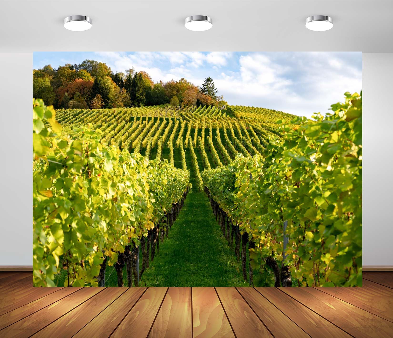 3x2.5m Toile de Fond de vignoble d'automne,vignes Vertes,arrière-Plan de Photographie,vignes de Campagne,Paysage de vignoble,décor de fête de récolte,Accessoires de Studio Photo de Portrait