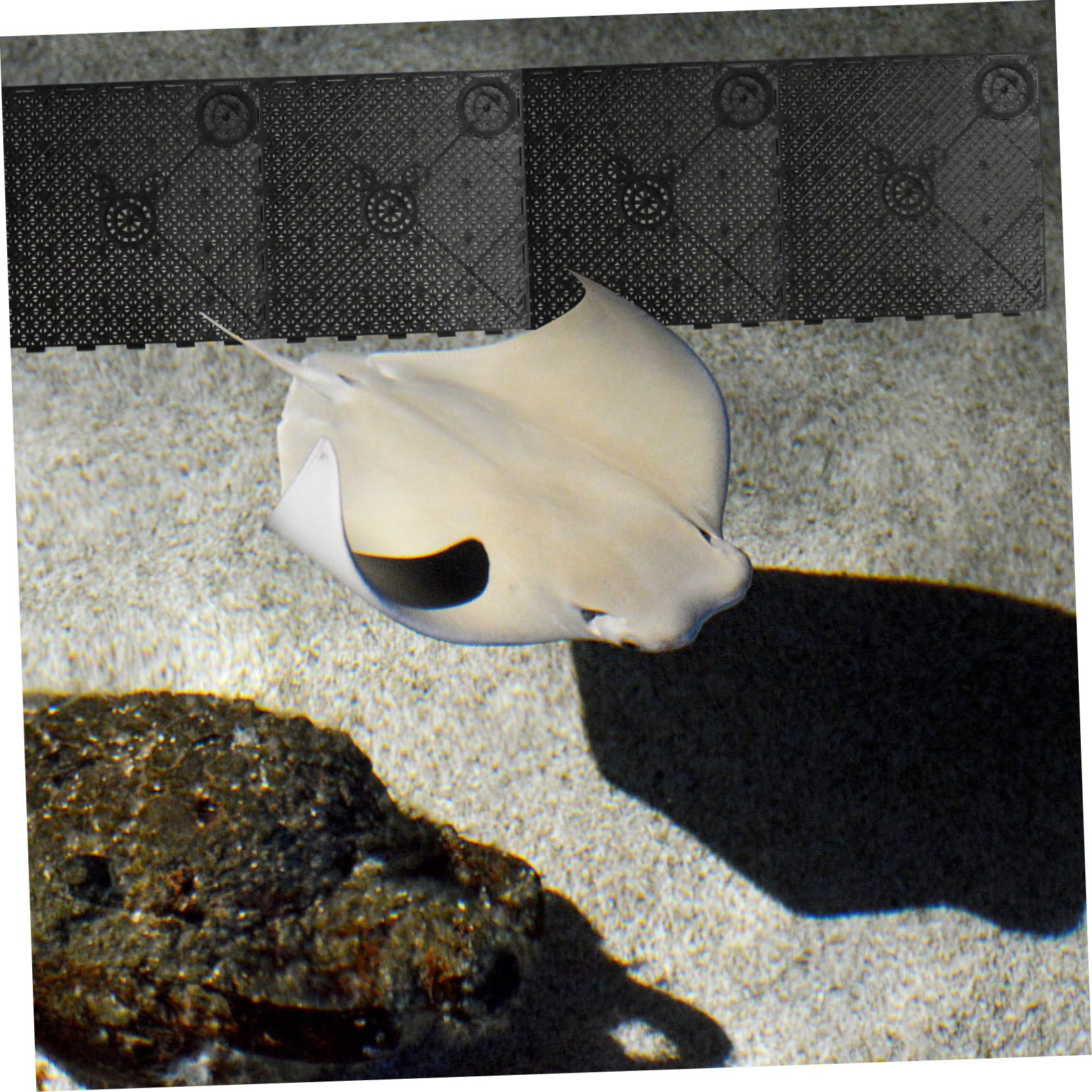 Zerodeko 20 Stück Filterplatte Aquarium-Filtersubstrat Für Bepflanztes Aquarium Geräuschloser Fischtank-Filter Fischtank-Boden Fischtank Aquarium-Boden Aquarium Kies