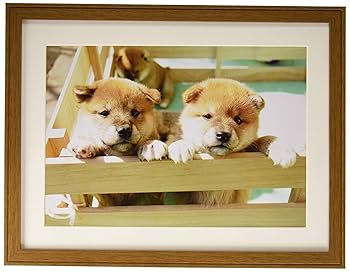 額縁 KAVACH Amazon.co.jp: フジカラー FUJICOLOR 木製額縁 YM-9 ワイド4切