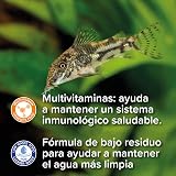 Ver la foto 2
