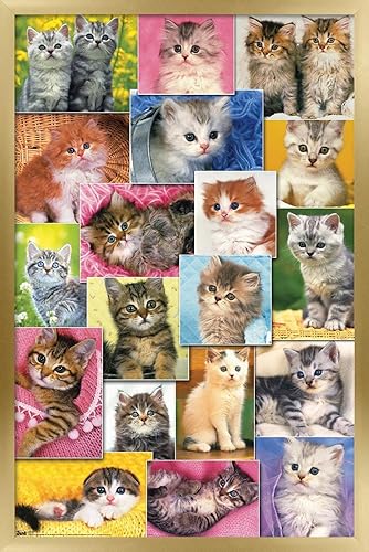Miniatura 6 de Trends International Keith Kimberlin - Póster de pared de collage de gatitos, 22.375 x 34 pulgadas, paquete de póster y clip prémium