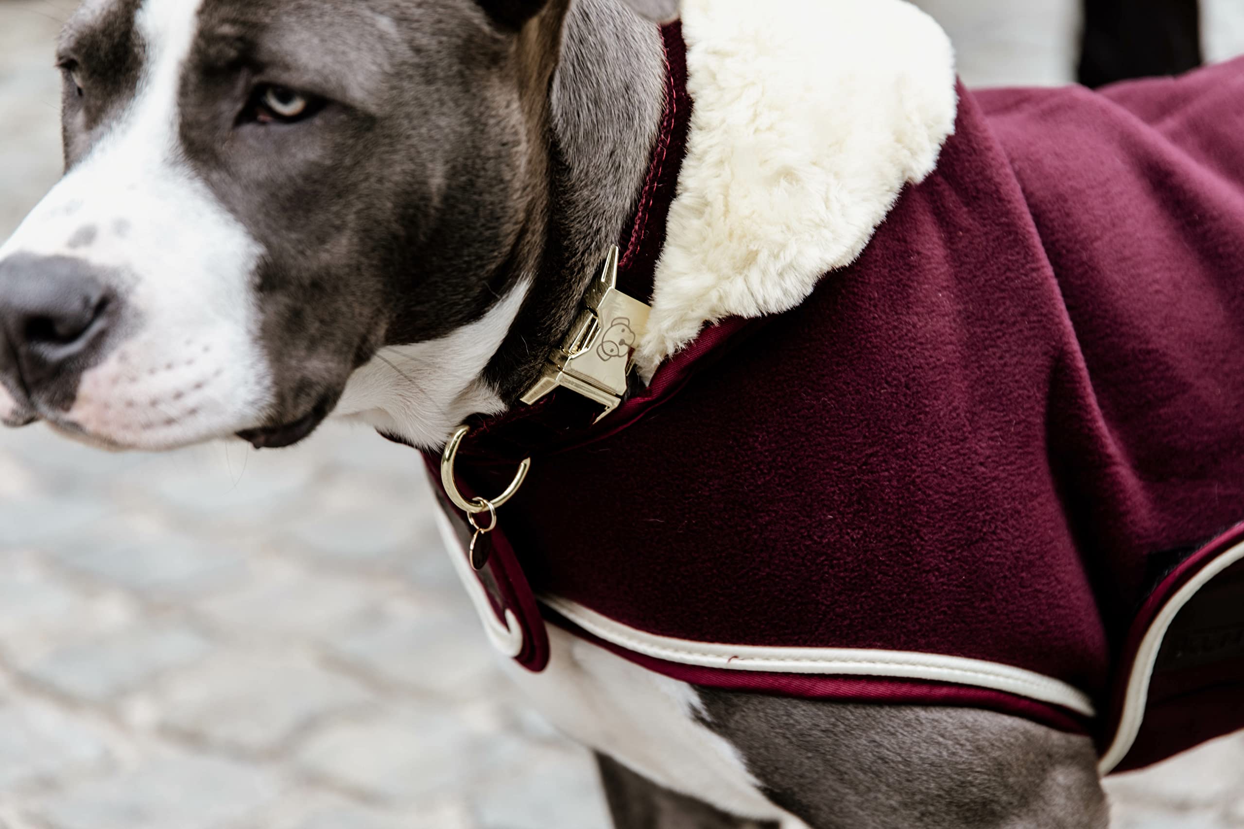 Kentucky Dogwear - Hundemantel - Heavy Fleece - Bordeaux - Größe (S) - 34-38cm