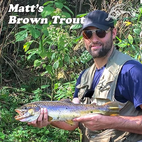 Miniatura 37 de Panther Martin Fishing Lures 6-Pack All Time Greatest Fish Catcher World Famous Spinning Lures in Value Kit Spinners for Trout, Salmon, Panfish