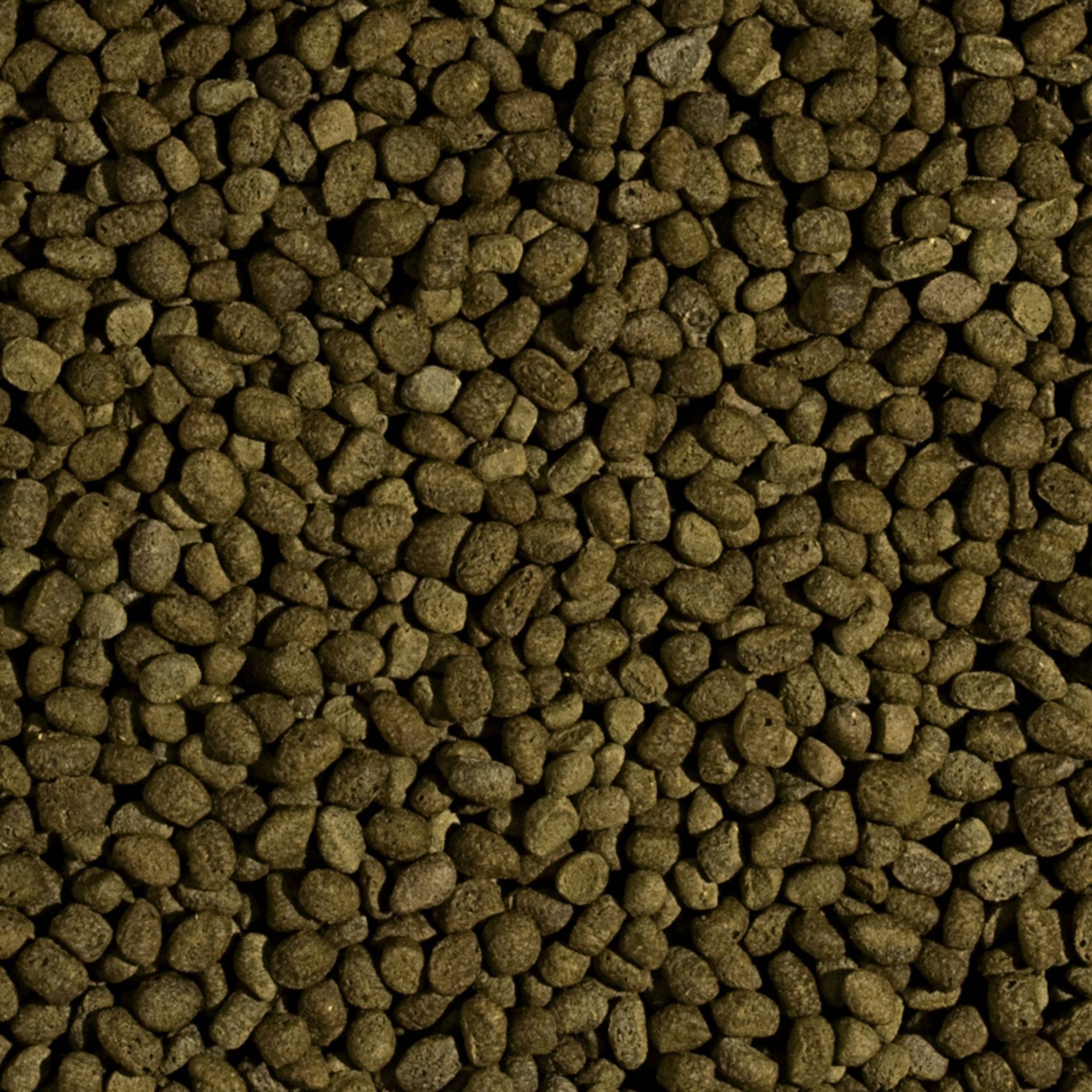 KOI SPIRULINA Pellet Size M 7kg - alimento para la alimentación Diaria de Medio Carpas koi Durante Estaciones cálidas del año, a temperaturas del Agua: de 15 a 30°C