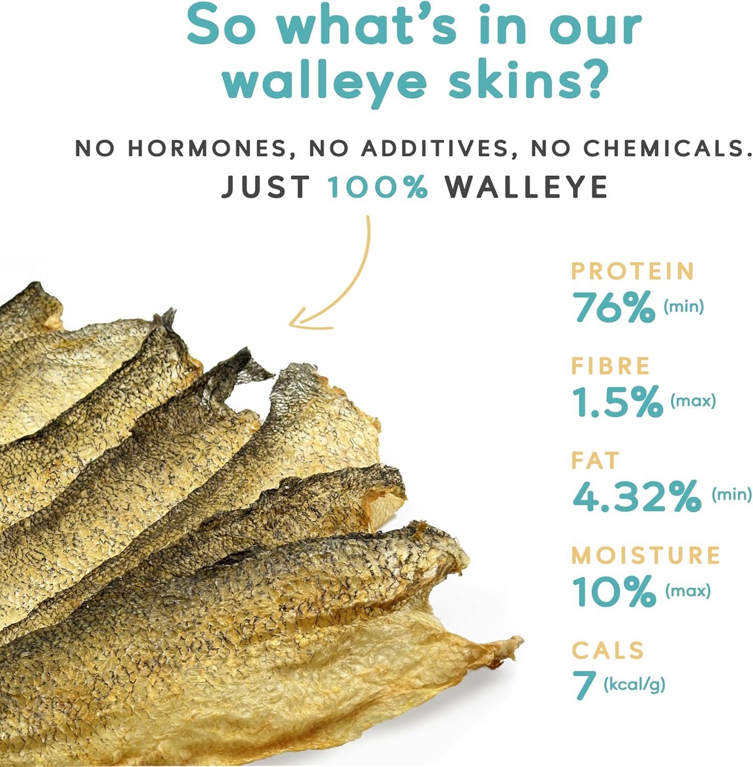 Earthly Walleye Skins, Single Ingredient, Lean Protein, Made in Canada. Crunchy and Delicious Fish Skin chew for Dogs - Pack of 10 Dog Chews
