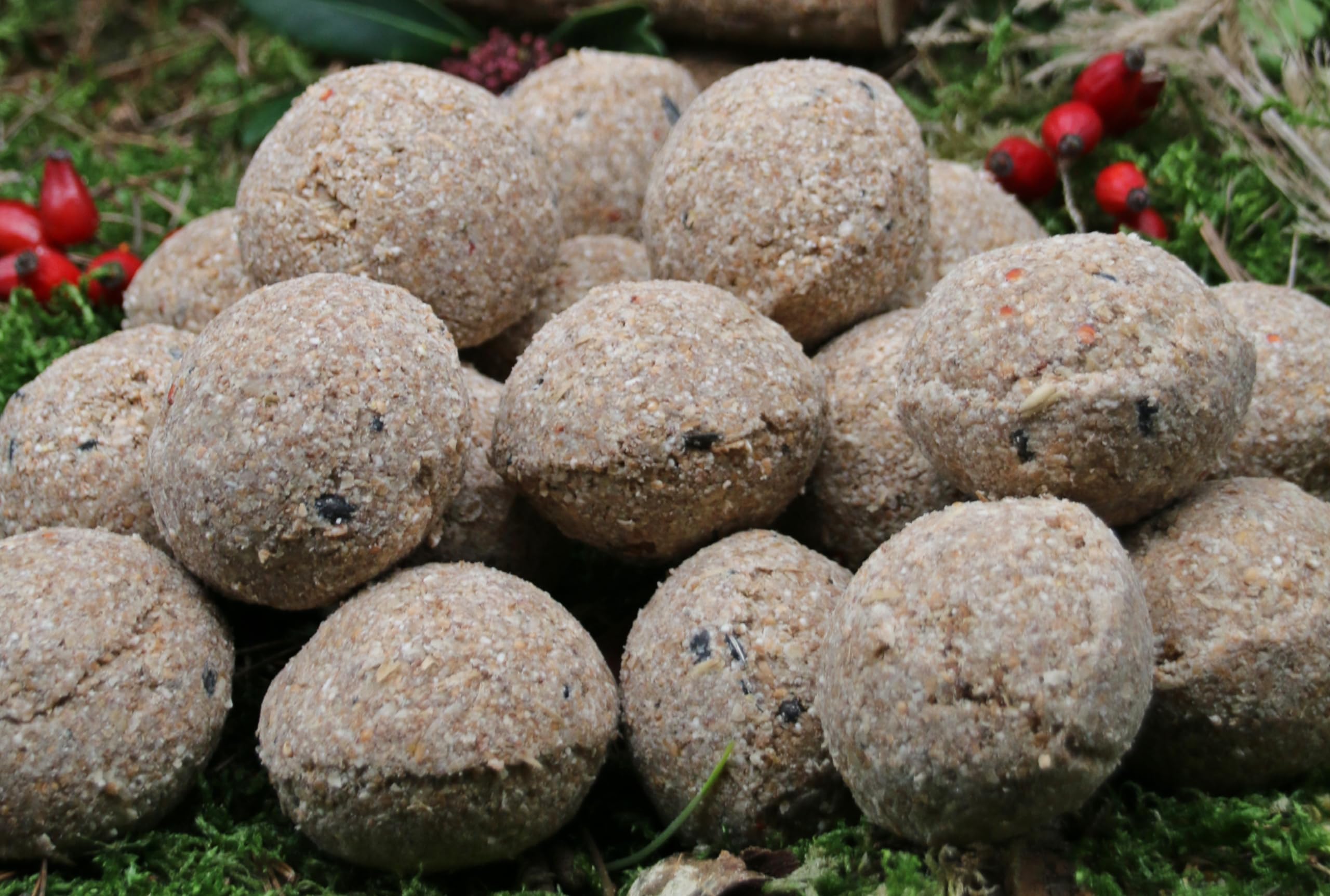 Anhaltiner Meisenknödel 100 Stück ohne Netz mit Insekten Vogelfutter Wildvogelfutter Meisenfutter eigene Produktion in Deutschland hergestellt