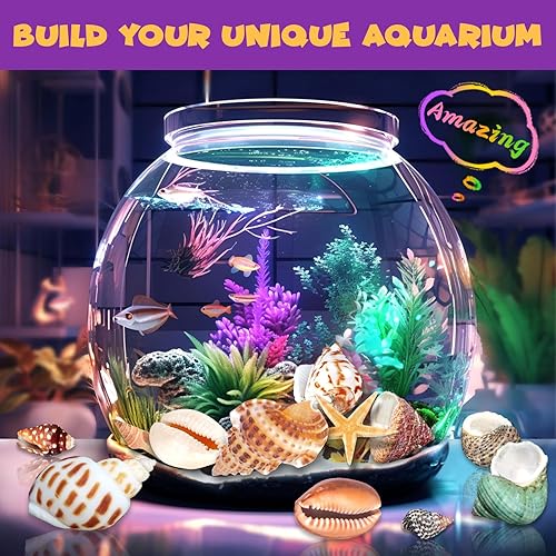 Miniatura 7 de Kit de excavación de fósiles oceánicos, desenterrar más de 20 conchas y caracoles reales, actividad educativa de ciencia divertida, juguete STEM