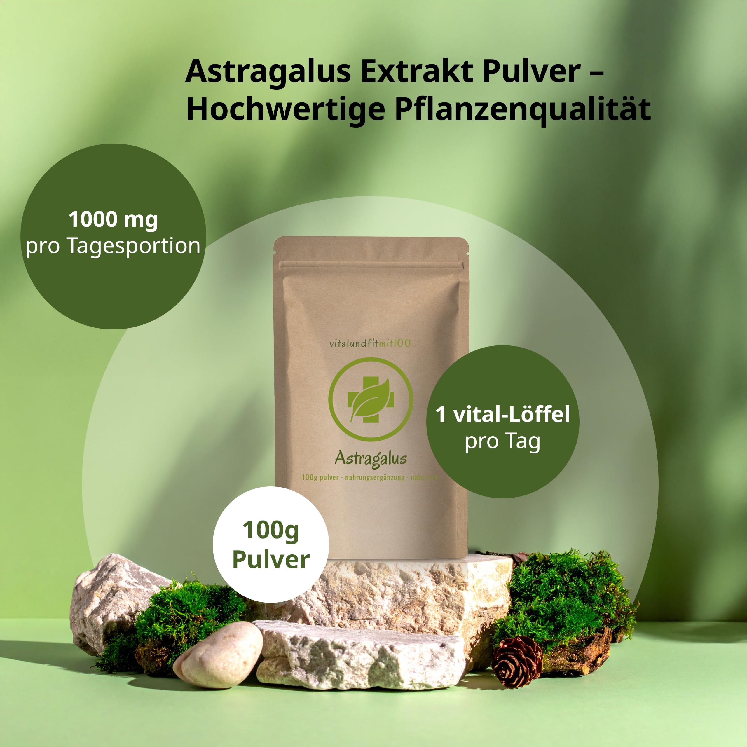 vitalundfitmit100 Astragalus Extrakt Pulver 100g – Astragalus Wurzel Extrakt – Standardisiert mit Polysacchariden