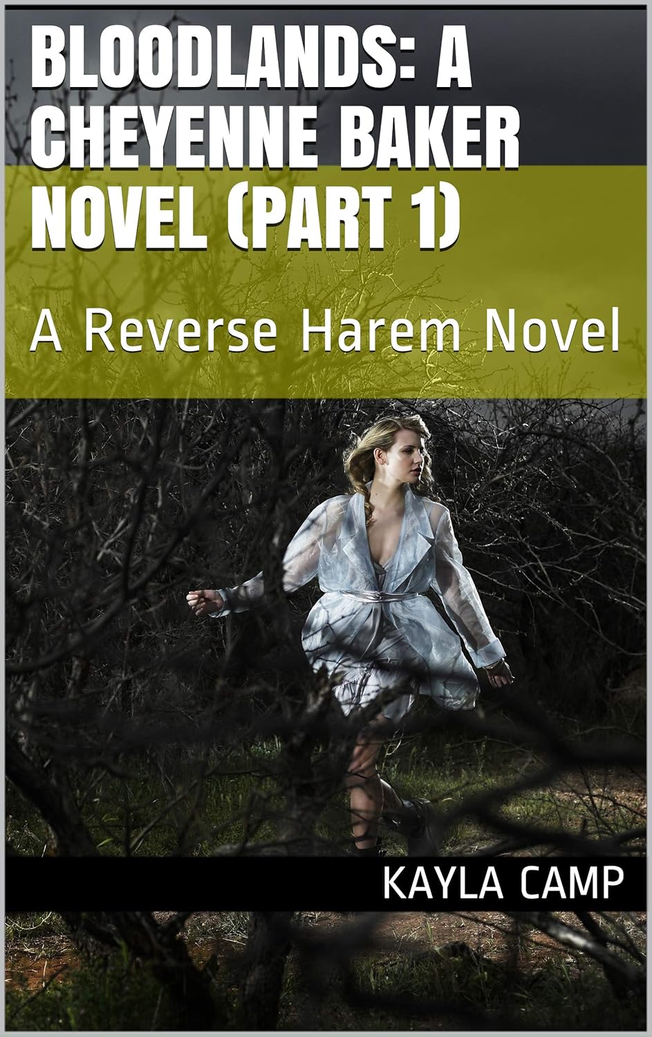 Bloodlands A Cheyenne Baker Novel (Part 1) A Reverse