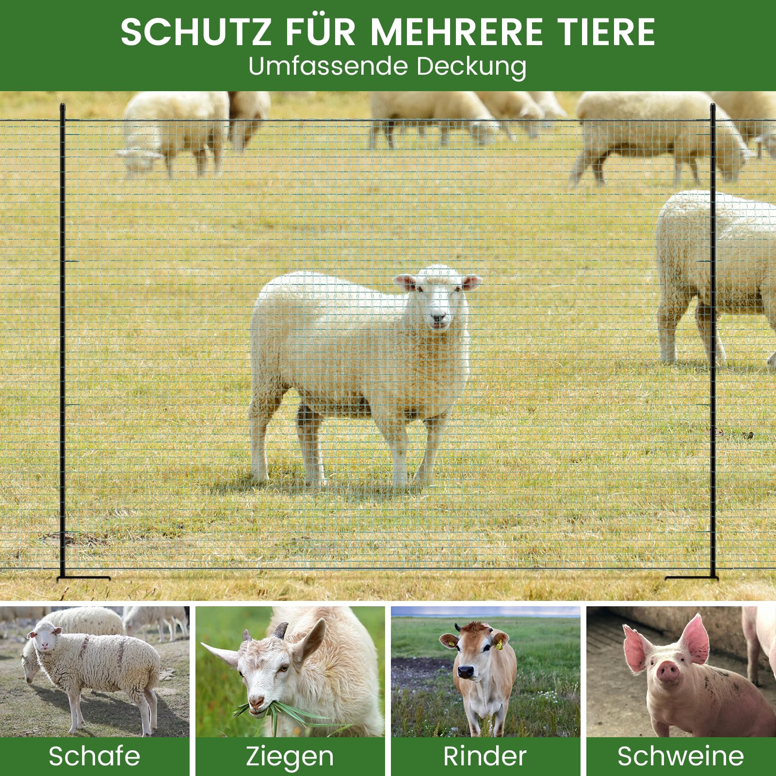 Hühnerzaun 50m L x 100cm H - Nylon Geflügelnetz Engmaschig, Stabil & Langlebig - Mobiler Hundezaun Steckzaun Haustierzaun Begrenzungszaun Katzenzaun - Freilaufgehege Hühner