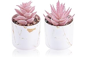 Elegant Mini Desk Accessory Set: Artificial Succulents for Home & Office