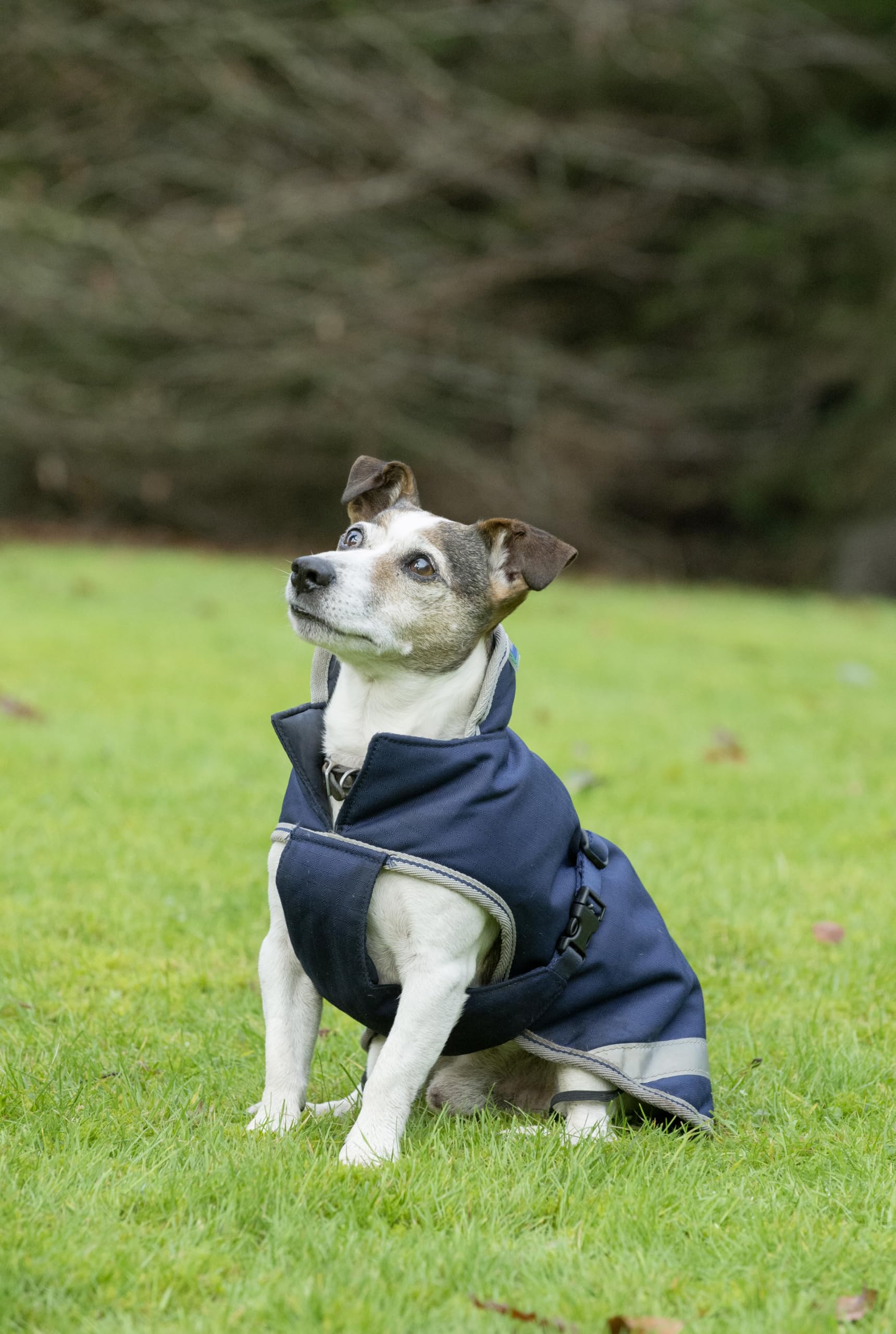 Bucas Hundemantel Freedom, Blau, Größe XXL, Länge 60 cm, Halsumfang 64 cm