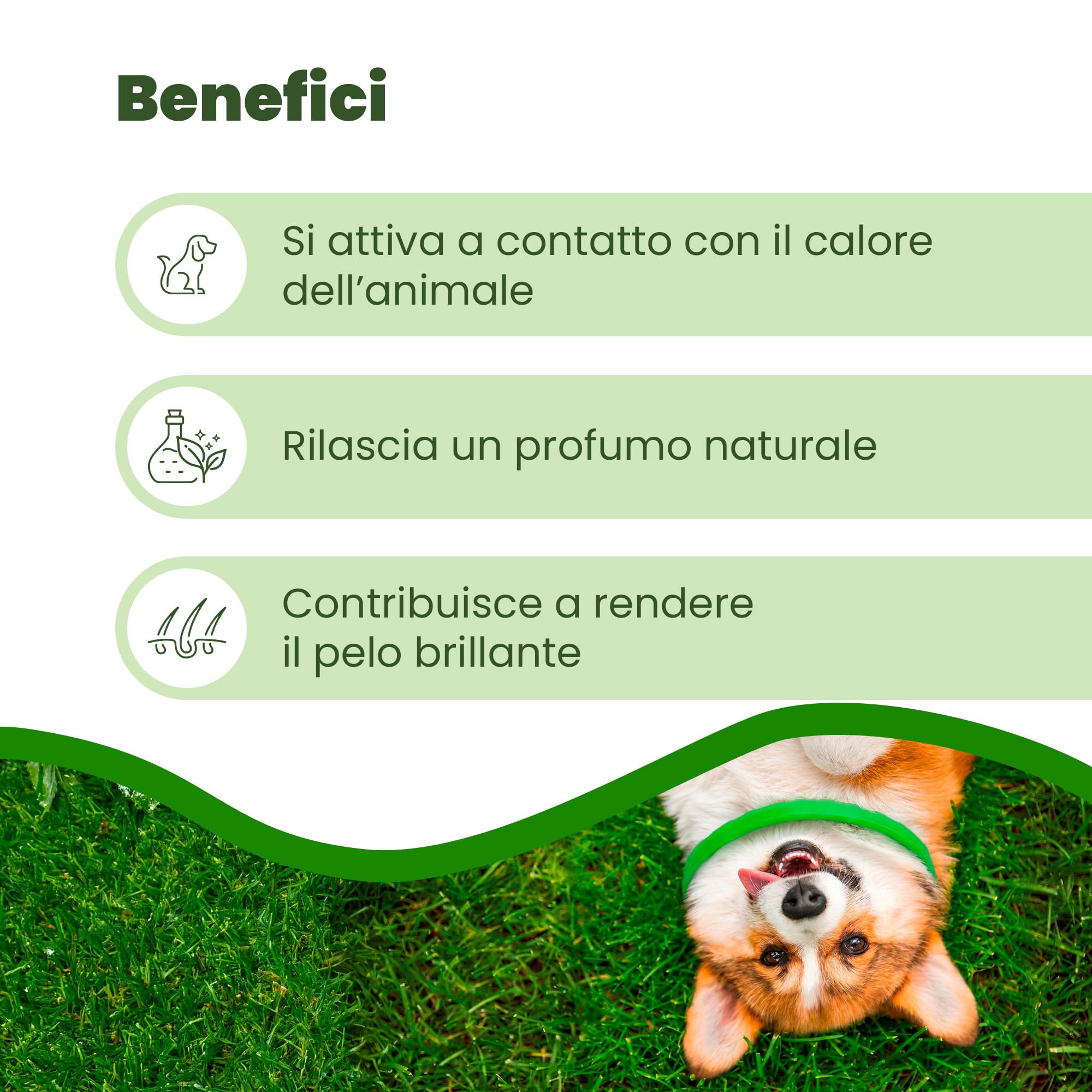 CAMON | Collare Barriera per Cane Olio di Neem, Rilascia Un Gradevole Odore, Resistente all'Acqua, Protezione per Circa 2 Mesi, 60cm