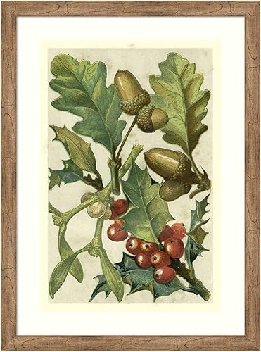 Amanti Art Lienzo decorativo para pared enmarcado de 44 x 32 pulgadas, frutas y follaje II por Vision Studio, arte de pared de naturaleza,