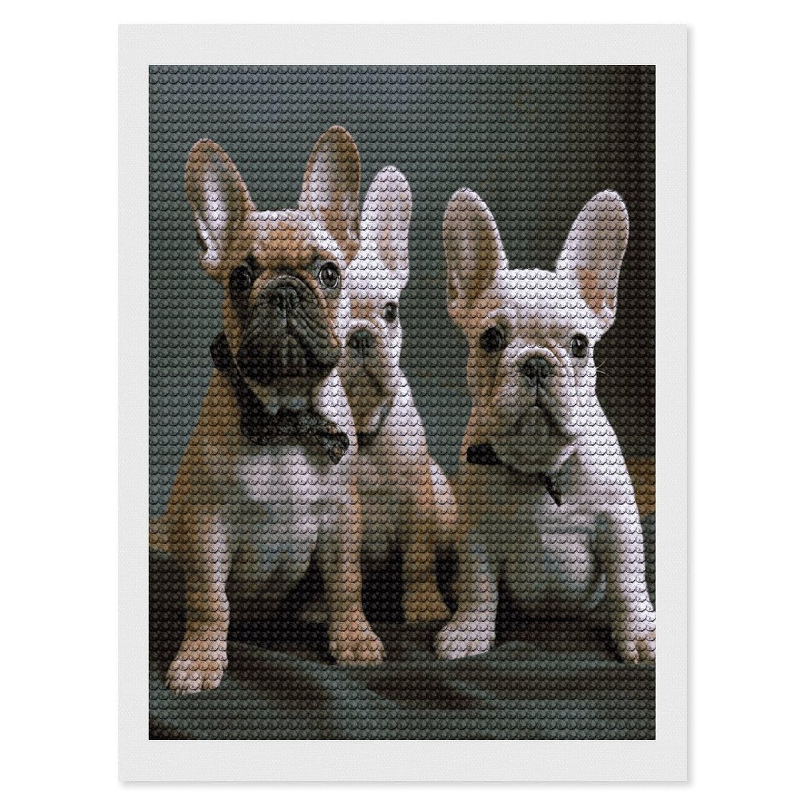 JTREHY French Bulldog Puppies Diamond Art Kits Personalized DIY Round Diamond Painting Kits for Beginner Full Drill Diamonds Dots Paintings for Adults Gem Art Crafts Home Decor