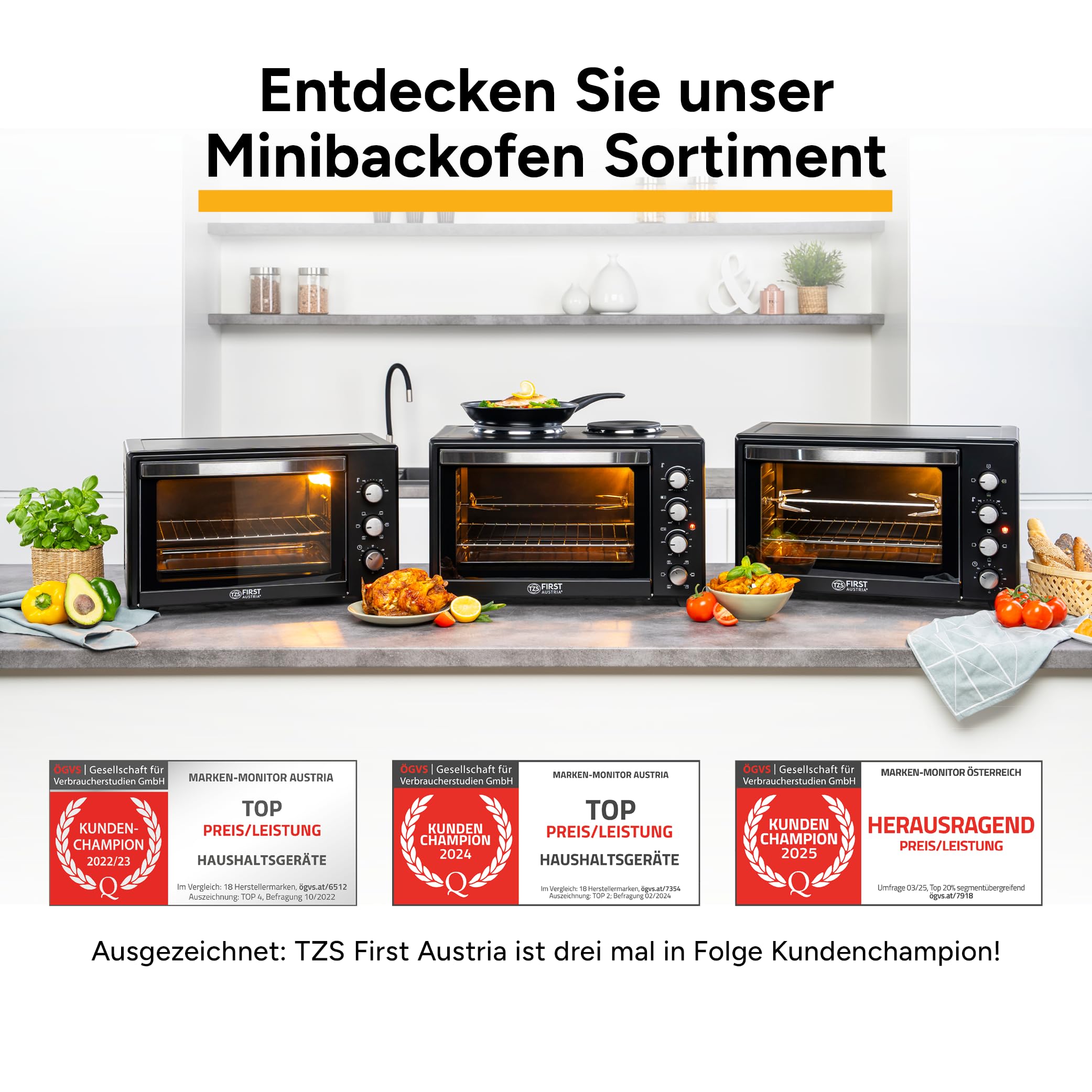 TZS First Austria - Minibackofen mit Kochplatten 60L 3200 W - Mini Backofen Pizzaofen mit Herdplatten bis 230°C & 6 Heizmodi - Miniofen Kombigerät mit 4 Einschubhöhen & hochwertigem Zubehör