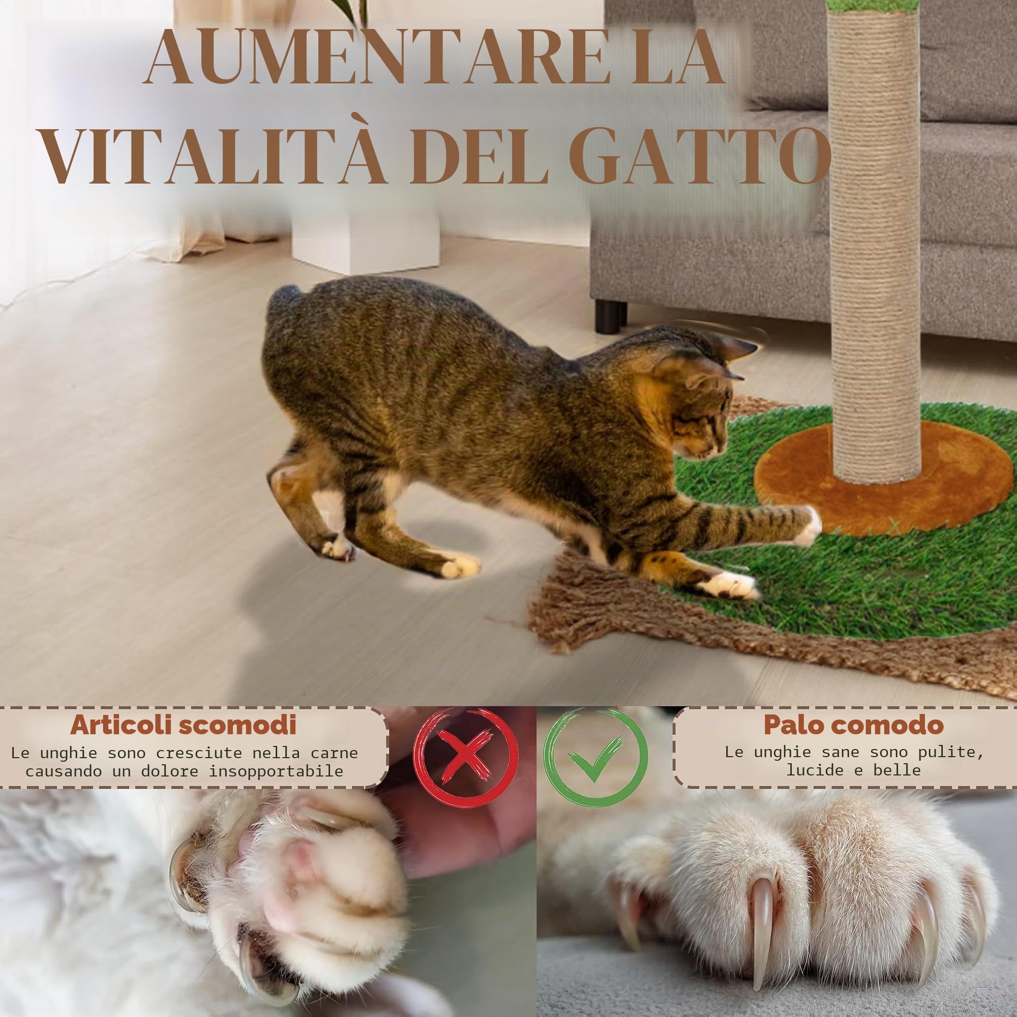 Tiragraffi per gatti e gattini da interni, altezza 80 cm, con corda in sisal, palma tiragraffi con palla appesa (80 cm)