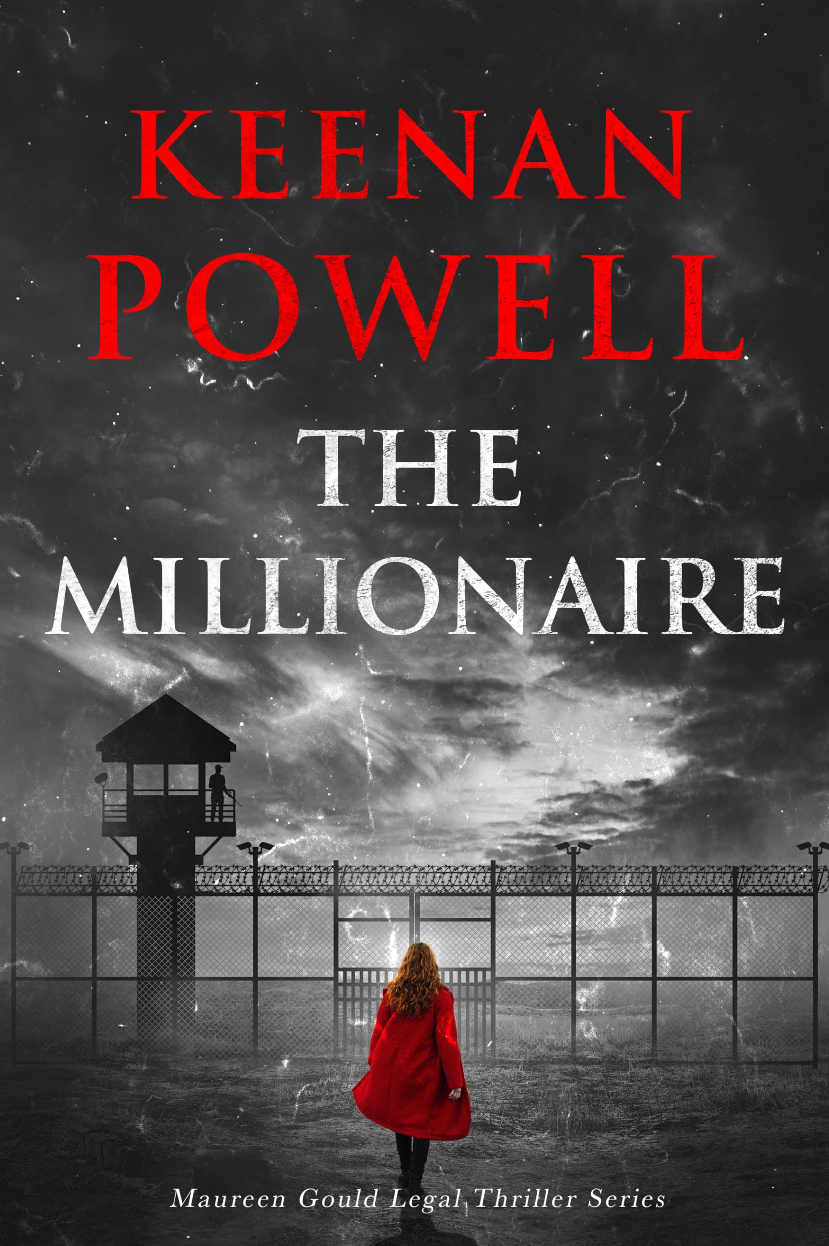 The Millionaire: A Maureen Gould Legal Thriller