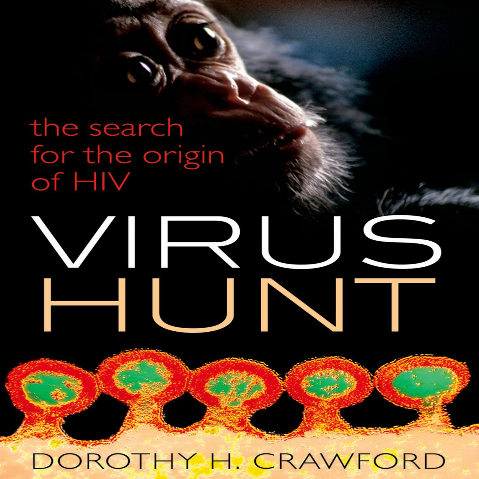 Cover art for Virus Hunt