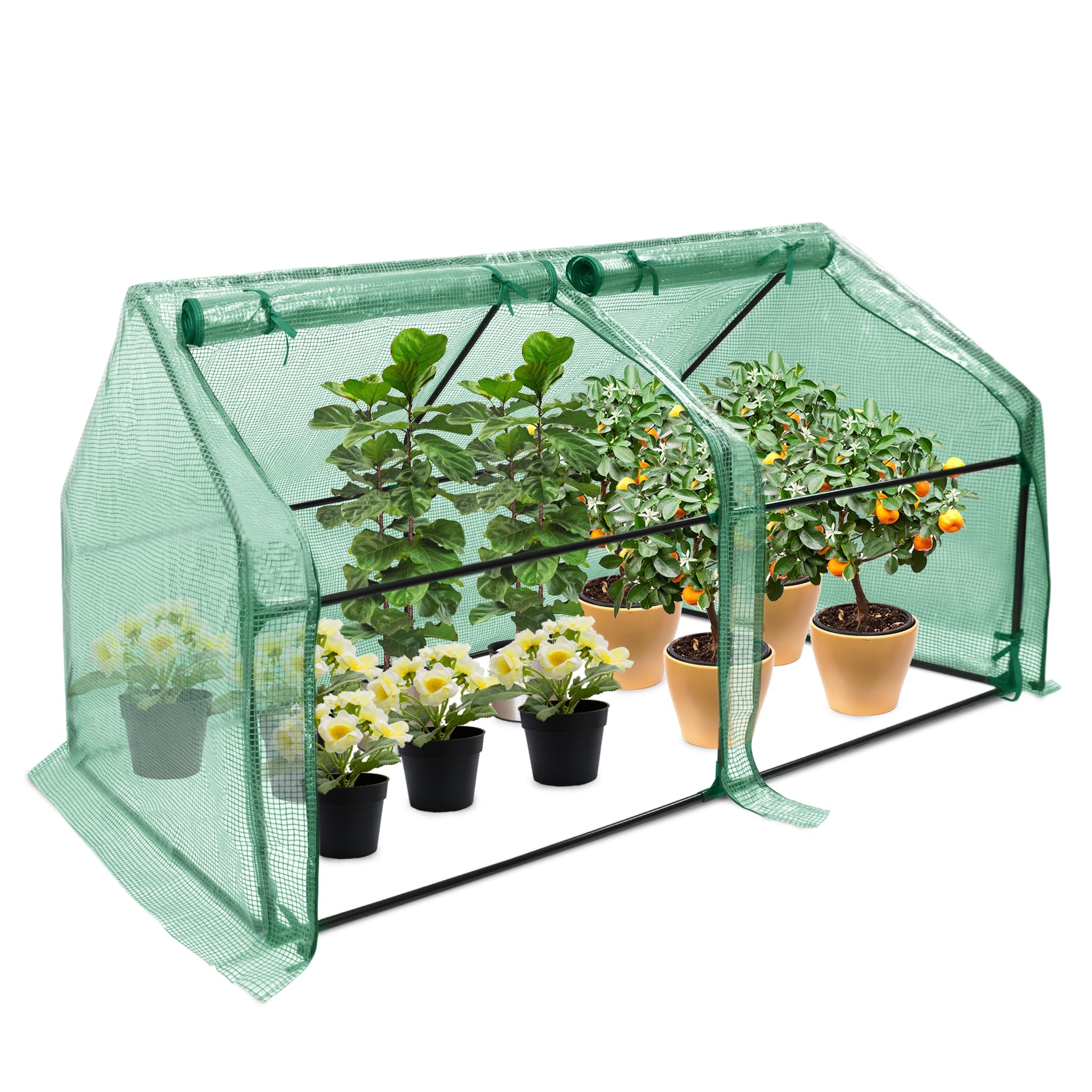 FIVMEN Serra da giardino in pellicola, 180 x 90 x 90 cm, con porta, serra, pomodori, per giardino, balcone, verde