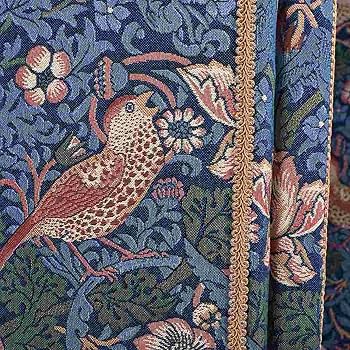 Amazon｜Jennifer Taylor ジェニファーテイラー 【 スクリーン