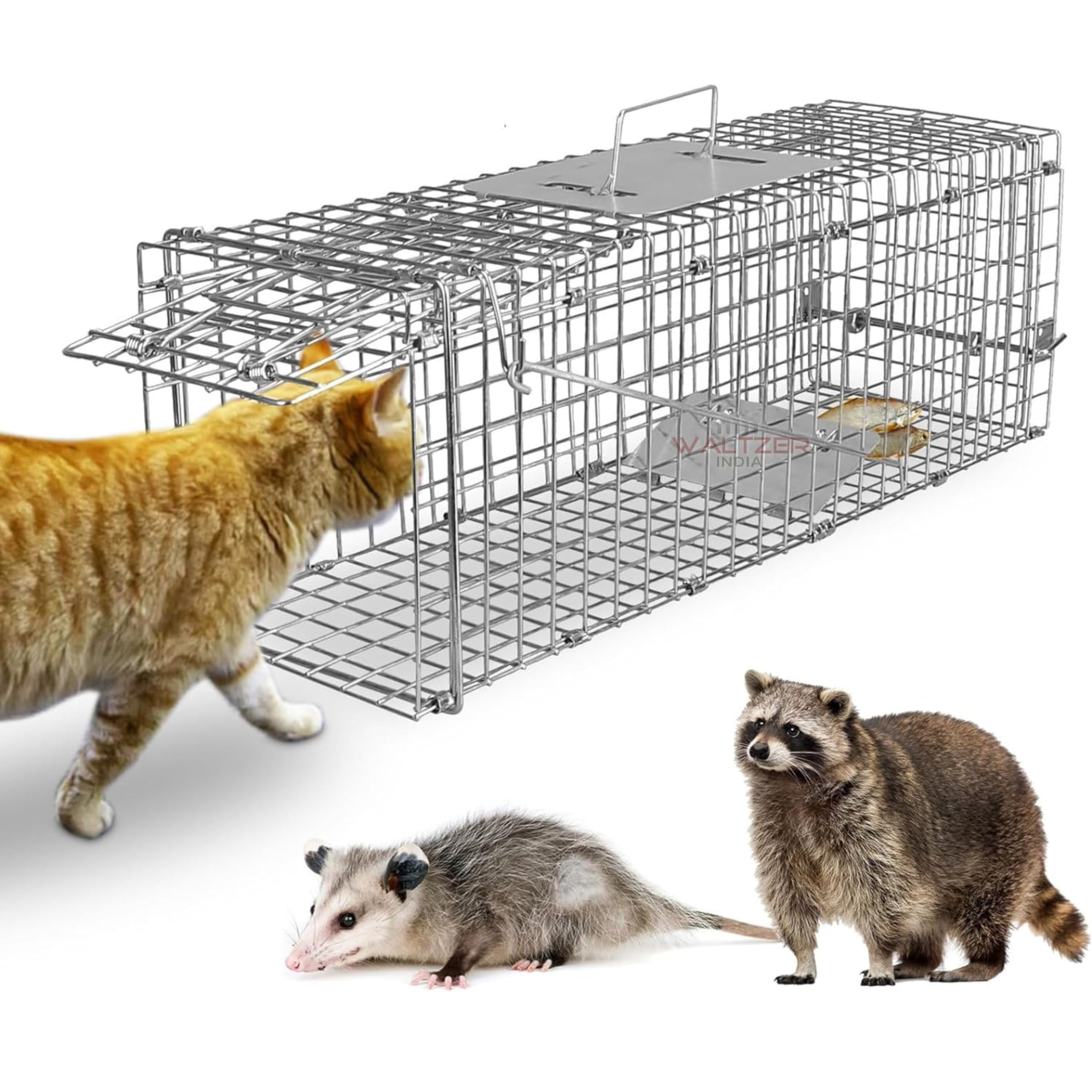 Cat Trap Cat Cage Pinjra Billi Ka Jal Jungli Billi ka Pinjra | Live Animal Trap Steel cat cage - Silver Color Size 31" x 11.5" x 12"-image-40