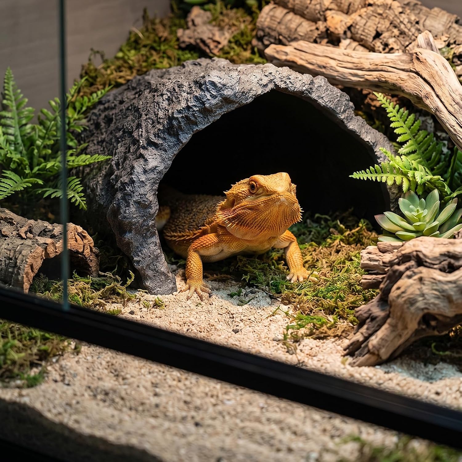 Extra Large Resin Rock Cave Hideout for Bearded Dragon, Tortoise | Simulation rock cave habitat, Reptile hideout, Natural Habitat Decor, Terrarium decor, Safe For Ball Pythons