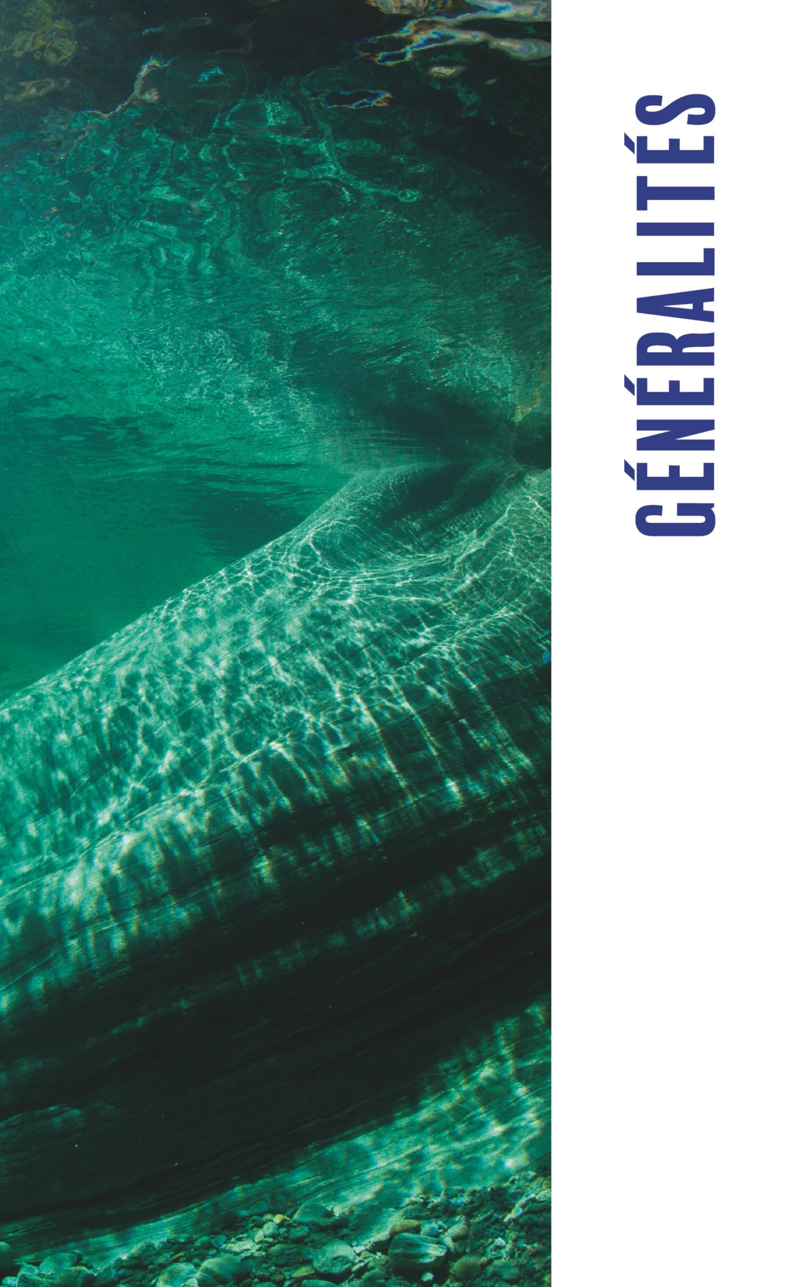 L'apnée (2e ed): Techniques, secrets et philosophie