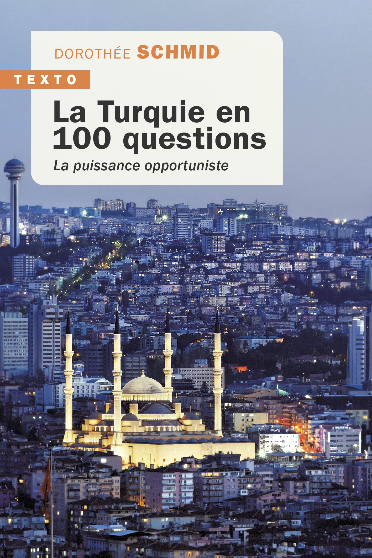 La Turquie en 100 questions: La puissance opportuniste