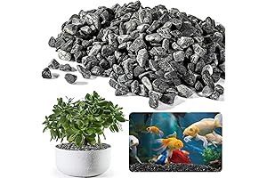 Black Polished River Stones - Black Gravel for Aquarium