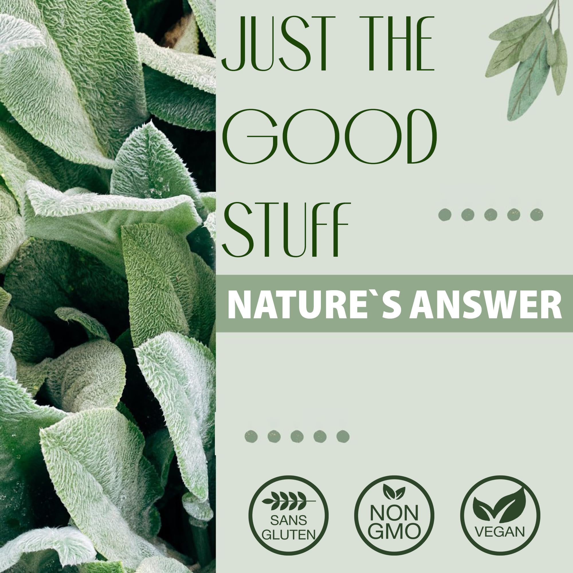 Nature's Answer, Extrait de Dong Quai, 2.000mg, 30ml, Sans Gluten, Sans Soja, Végétalien, Végétarien, Sans OGM