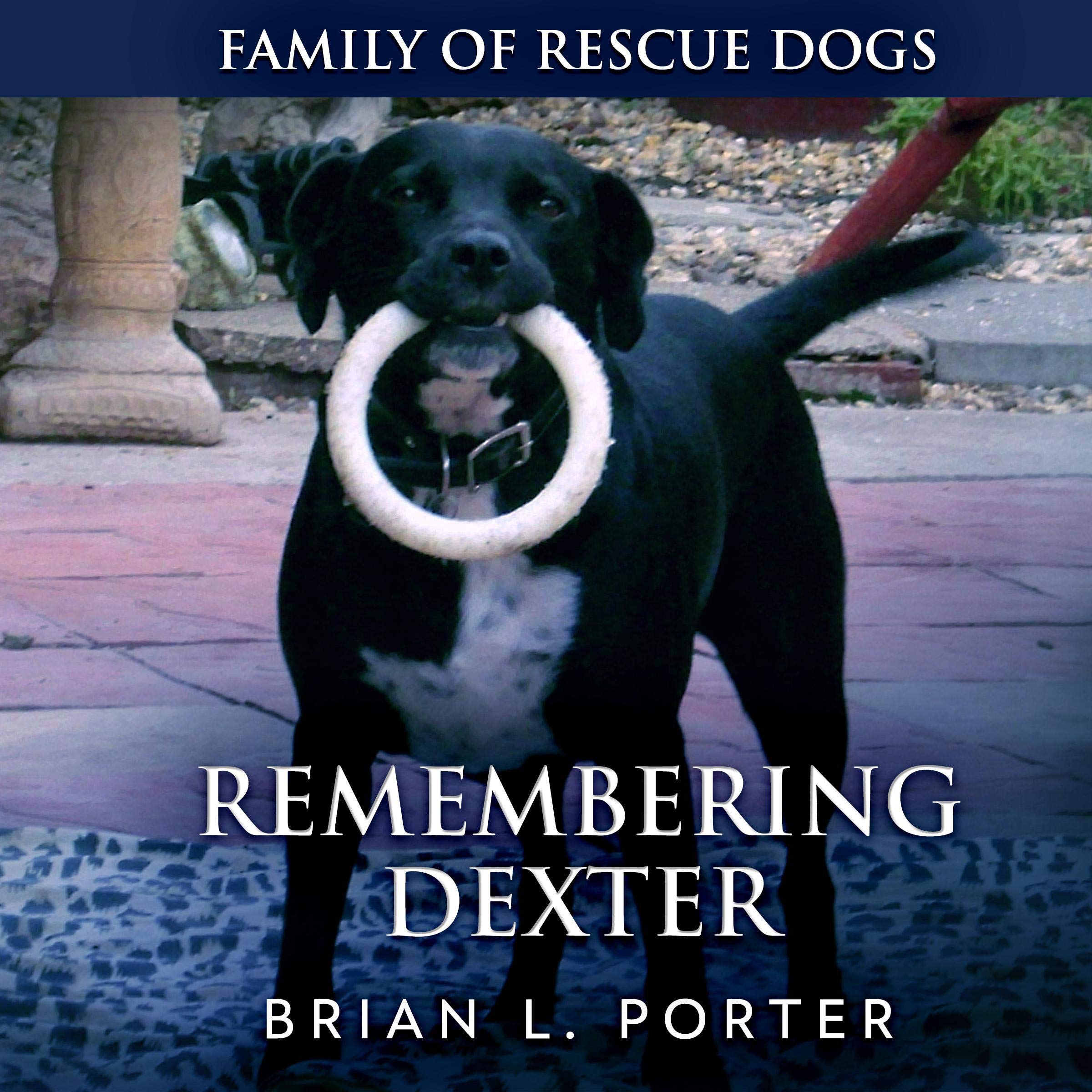 Cover art for Remembering Dexter