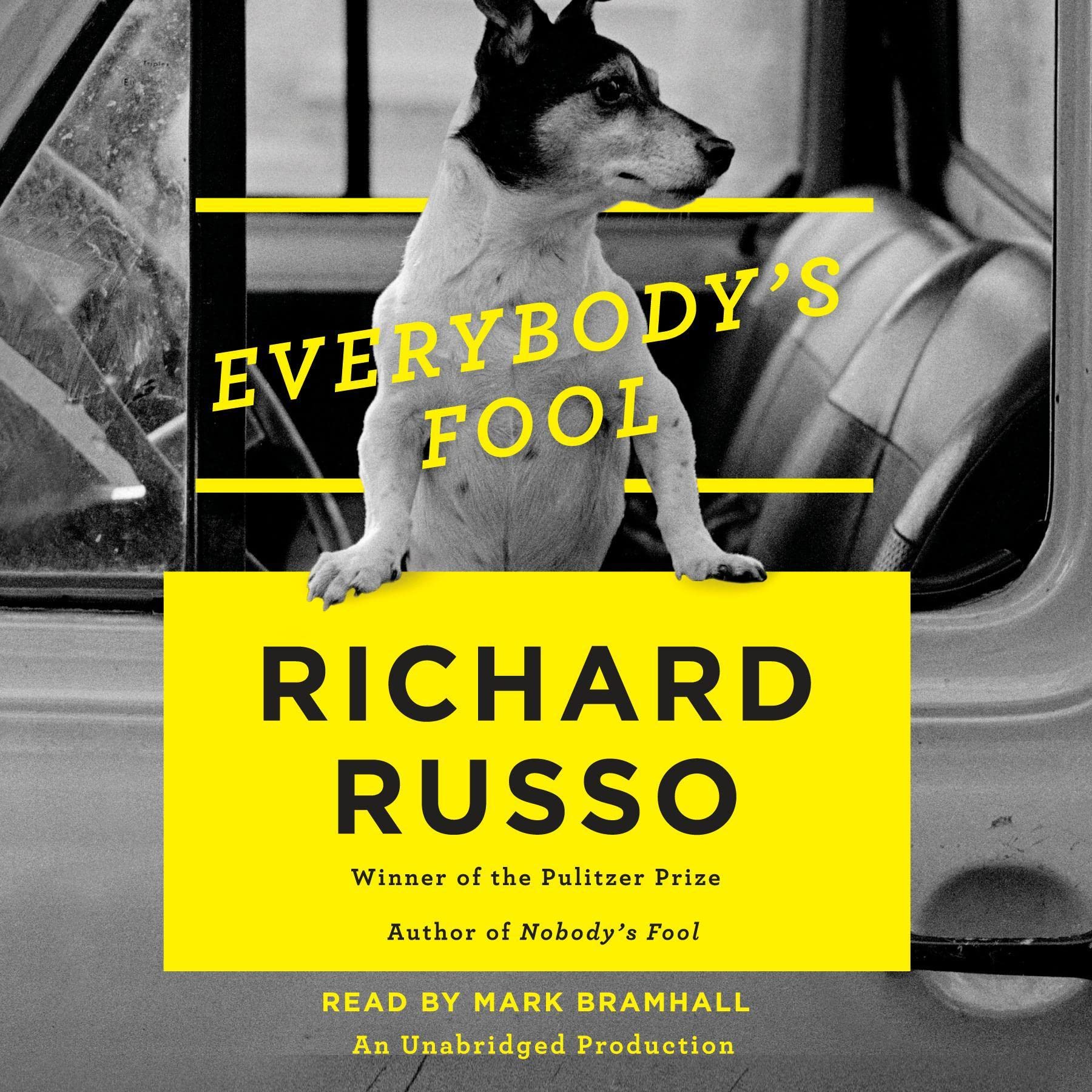 Cover art for Everybody's Fool