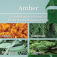 Vista 2 de Hemlock Park Vela de mecha de madera ámbar y dorada hecha a mano con cera de coco natural (estándar de 7.2 onzas, ámbar)