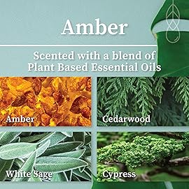 Hemlock Park Crackling Wood Wick Candle Handcrafted with Natural Coconut Wax (Standard 8 oz, Amber)