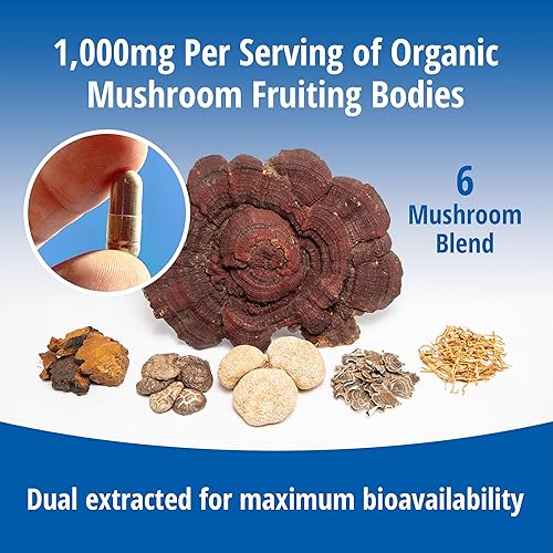 Miniatura 6 de ENCAPSULATE 6 Mezcla de hongos 1000 mg - Reishi, Chaga, cola de pavo, cordyceps, melena de león y extracto de hongo Shiitake 11 - Suplemento de