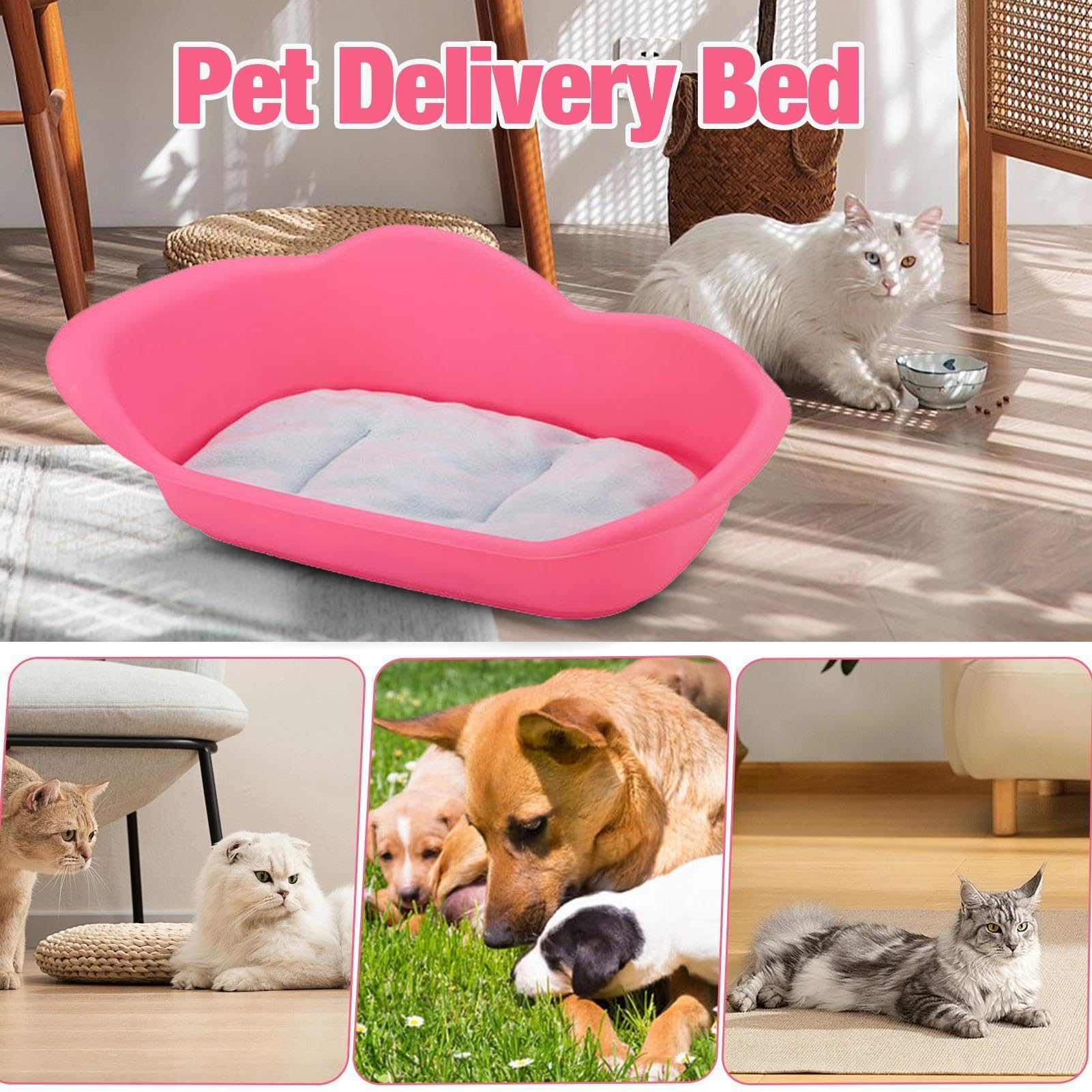 Box per il parto per cani Base antiscivolo Igienico Pet Delivery Bed | Cucciolo Scatola di parto Forniture per animali domestici Gatti