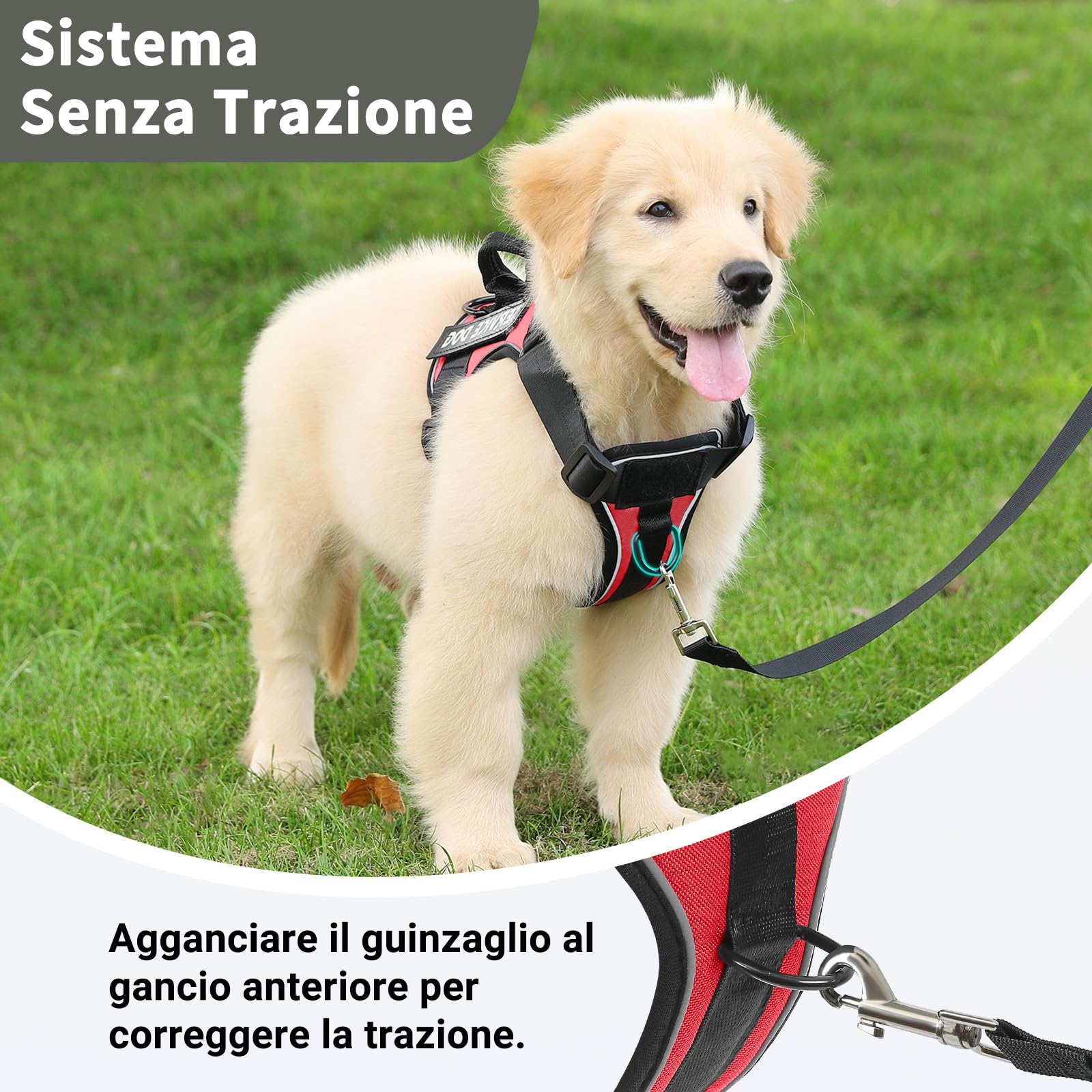 COMSLE Pettorina Cane Taglia Grande Media Piccola, Pettorina Cane ad h Riflettente, Rosso, S