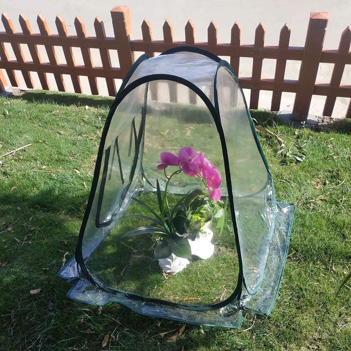 LATERN Tenda della Serra Pop Up, Mini Grow House Stanza del Sole del Fiore del Giardino del PVC Copertura per Serra Portatile per Piante da Giardino Protezione dal Gelo Freddo (70 x 70 x 80cm)