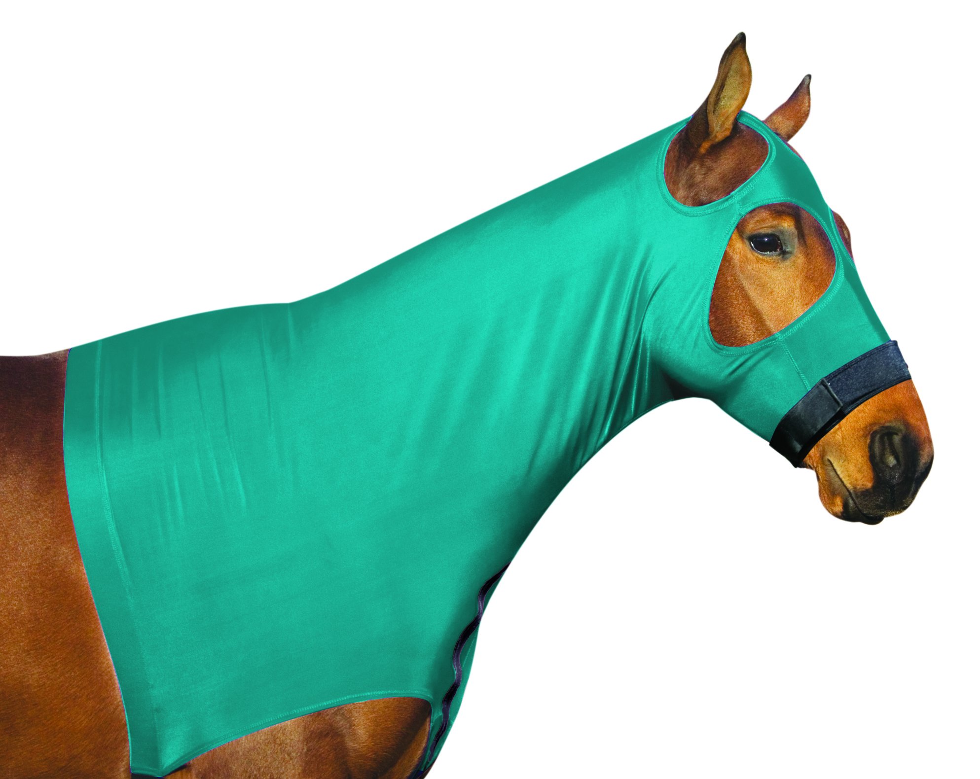 Perris LeatherTurquoise Lycra Mane Hood