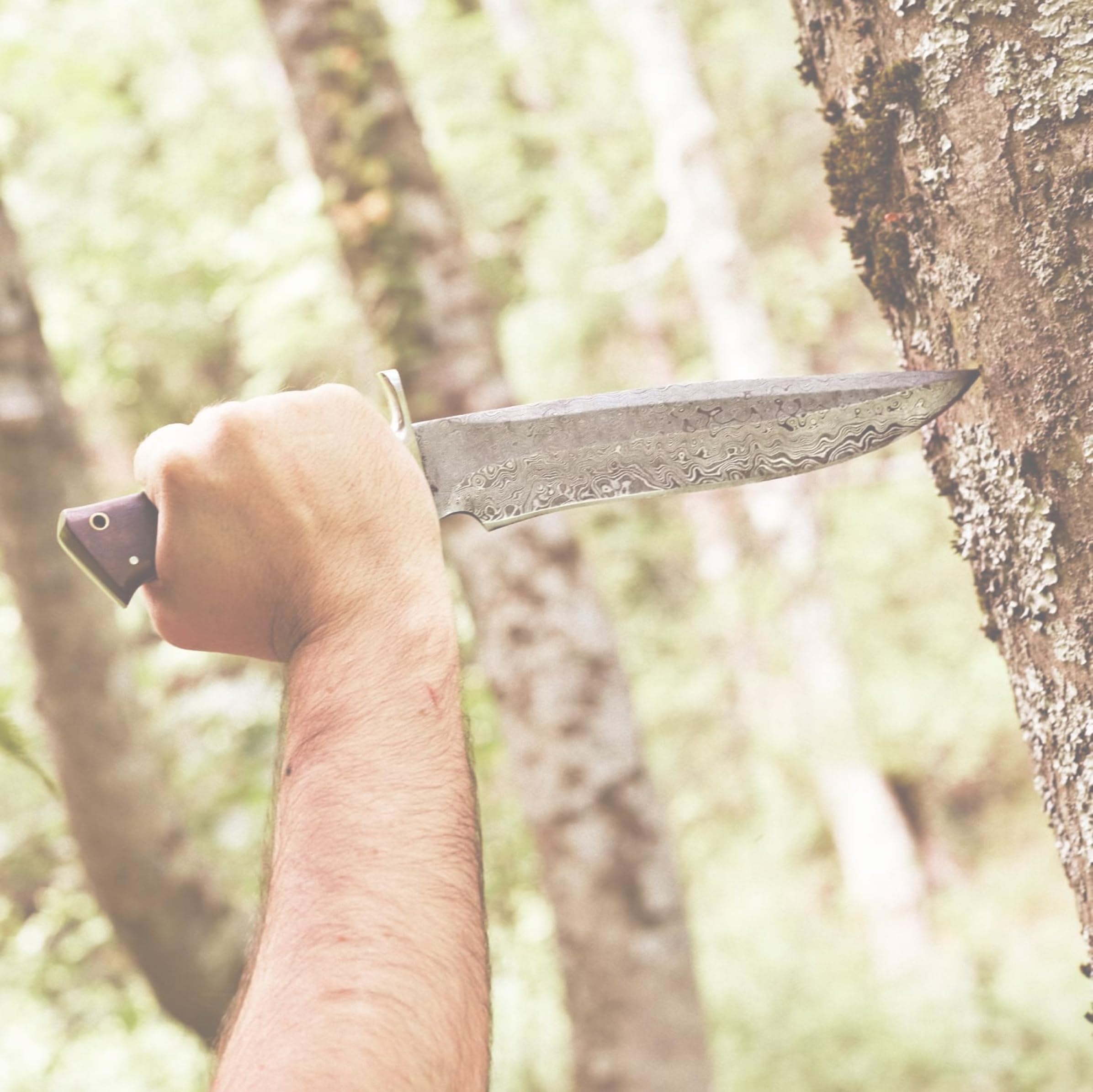BIGCAT ROAR 14″ Ręcznie wykonany nóż myśliwski z damasceńskiej stali z skórzanym etui - Idealny do siekania, kempingów - Nóż ze stałym ostrzem do bushcraftu z rękojeścią z orzecha - Patriot