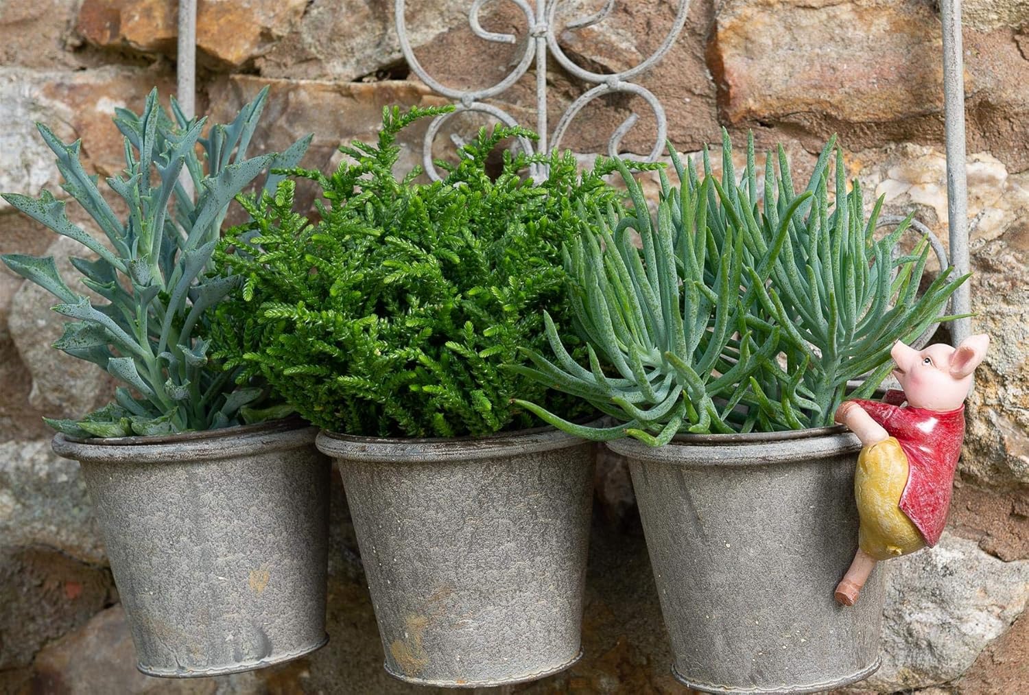 Pigling Bland Pot Buddy - Licensed Beatrix Potter Plant Pot Hanger