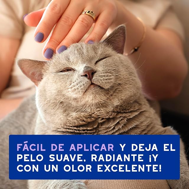 Foto 7 de 8 de DOUXO® Skin & Coat SPA - Espuma Ultra Suave de Limpieza sin estrés para Gatos, 150 ml, Limpia e hidrata…