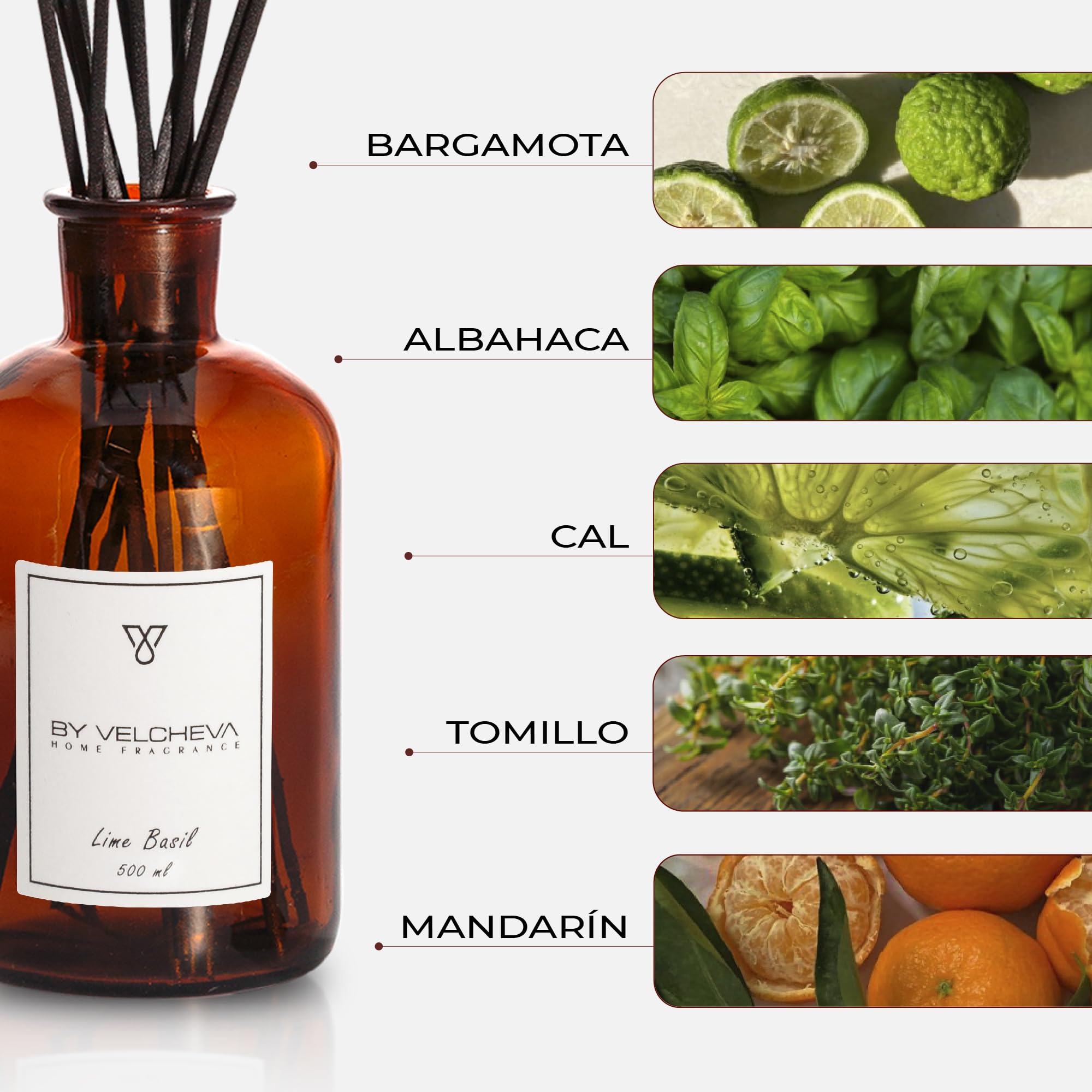 ı Deodorante Mikado Lime BaSIL ı Niche profumo ı 500 ml