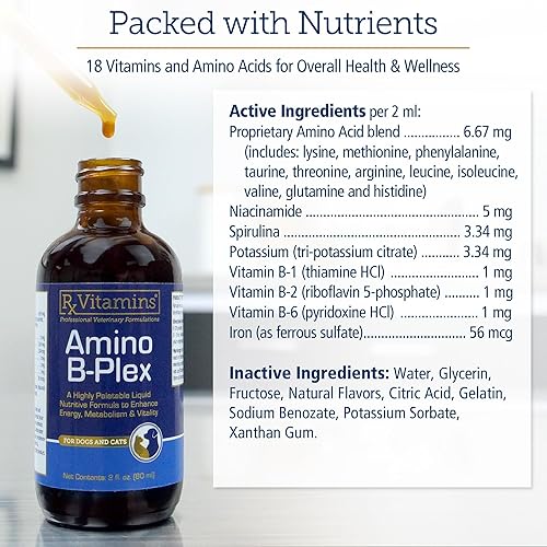 Rx Vitamins Amino B Plex Cat & Dog Supplement — top-down angle highlighting key features