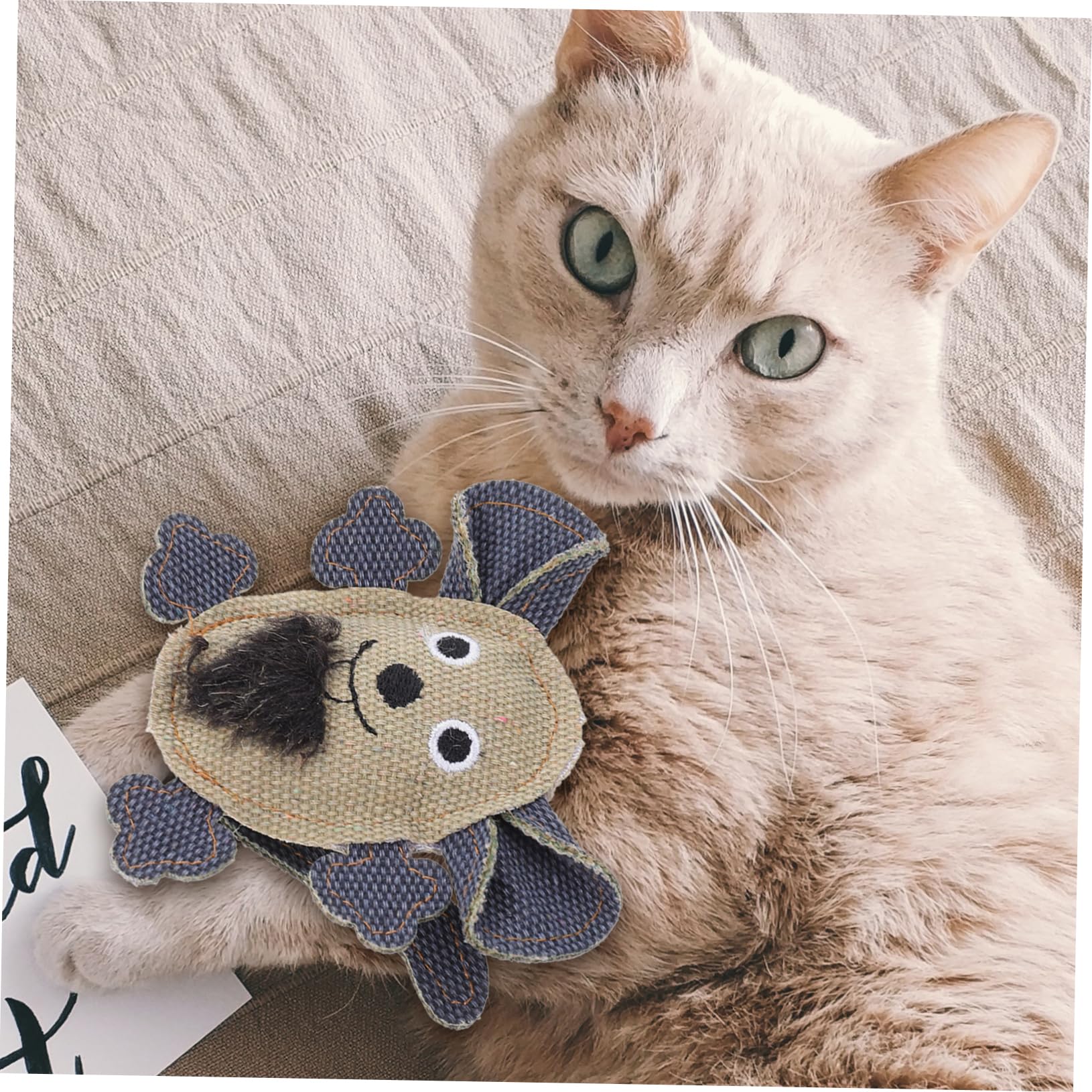 Collier Jouet Interactif Pour Chaton Avec Plumes - Ajustable 17-27 Cm - Stimule Jeu Et Exercice - 9