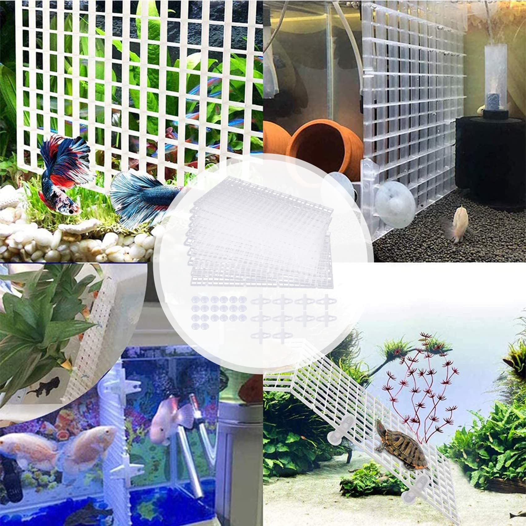 10 pezzi divisori per acquario, divisori per acquario, griglia separata, vassoio isolante, griglia con 20 ventose