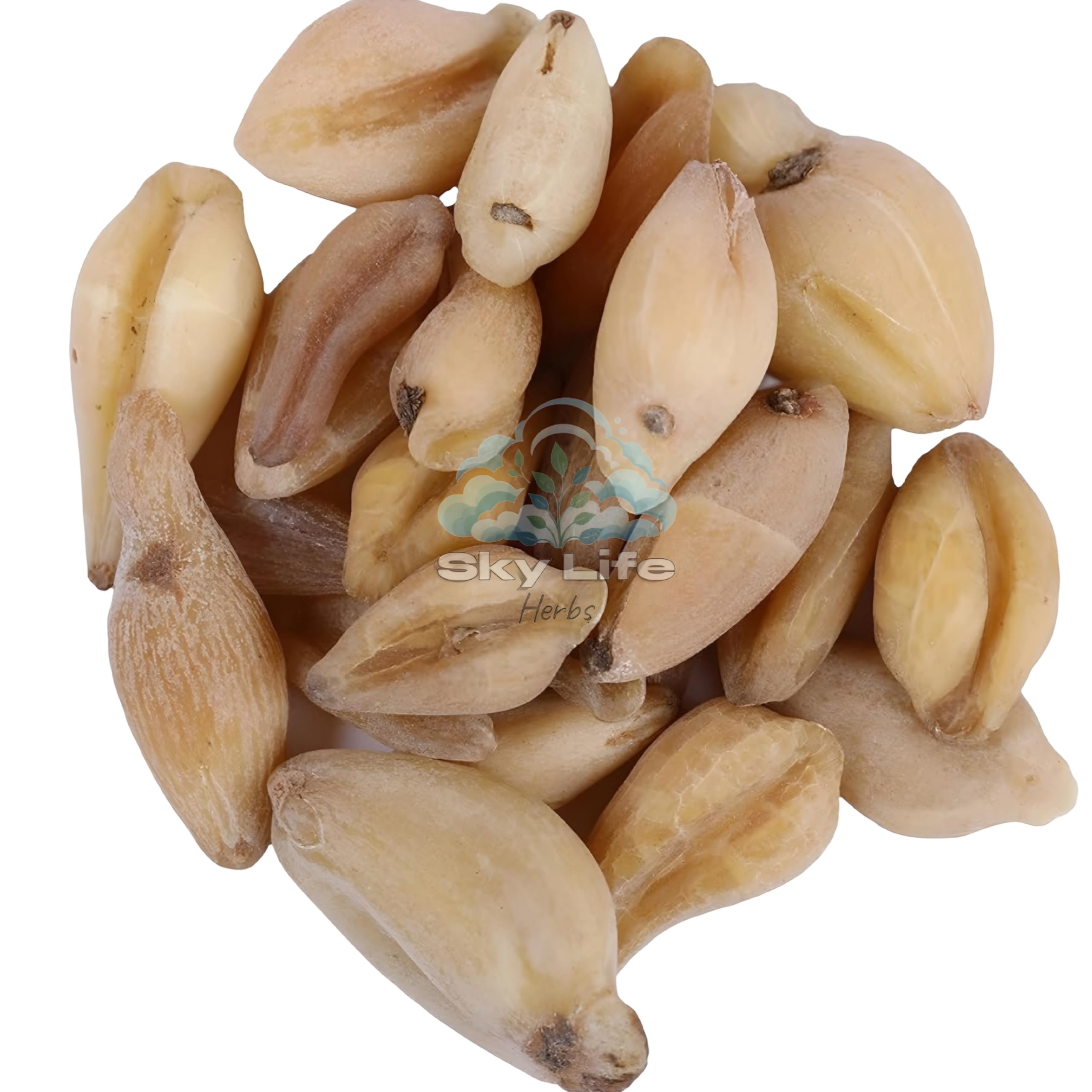 Sky Life® Suranjan Bitter 100 Grams| Suranjaan Kadwi| Colchicum Luleum | Pure, Fresh| No Artificial Colors| Wellness| Vegetarian Product for Digestive Health & Wellness